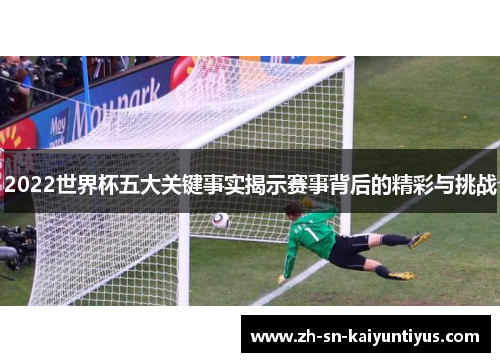 2022世界杯五大关键事实揭示赛事背后的精彩与挑战