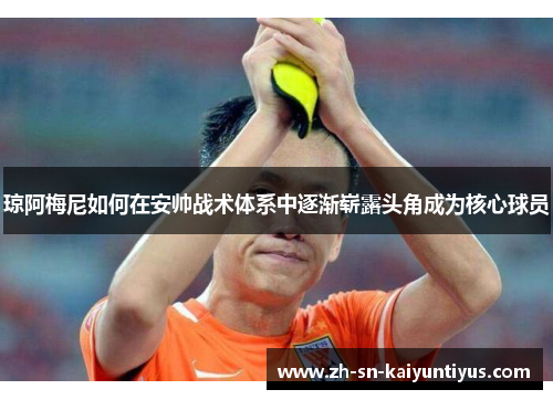 琼阿梅尼如何在安帅战术体系中逐渐崭露头角成为核心球员