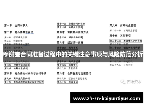 穆谢奎合同准备过程中的关键注意事项与风险防范分析