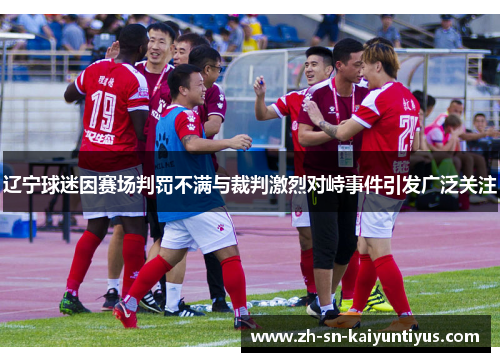 辽宁球迷因赛场判罚不满与裁判激烈对峙事件引发广泛关注