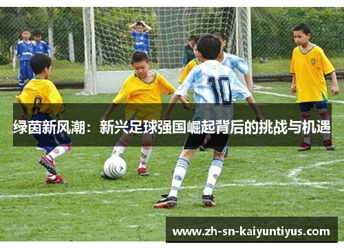绿茵新风潮:新兴足球强国崛起背后的挑战与机遇 绿茵新风潮:新兴足球强国崛起背后的挑战与机遇